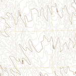 Smith Peak NE, AZ (2018, 24000-Scale) Preview 3