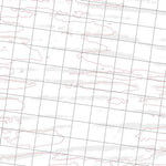 Getlost Map 4056 PAINE WA Topographic Map V15 1:75,000