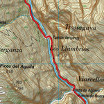 Beleño (0055-3)