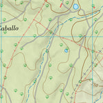 Mayorga (0727-1)
