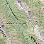 Peloche (0733-3)