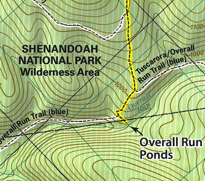 Hike 5: Overall Run Ponds in Shenandoah National Park