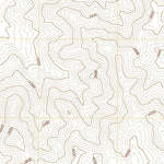East of Leach Lake, CA (2018, 24000-Scale) Preview 3