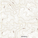 Newberry Springs, CA (2018, 24000-Scale) Preview 3