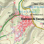 Espinosa de Cerrato (0313-2)