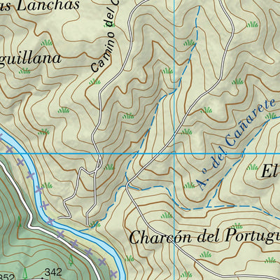 Vegaviana (0596-3)