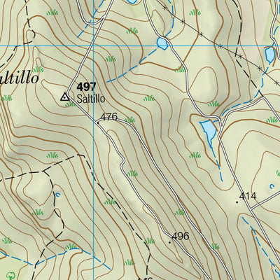 Jaramediana (0728-2)