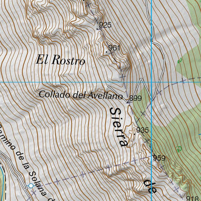 Castañar de Ibor (0681-1)