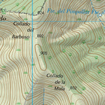 Garciaz (0706-4)