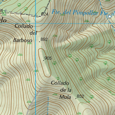Garciaz (0706-4)