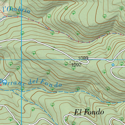 Els Llivis (0545-3)