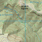 Els Llivis (0545-3)