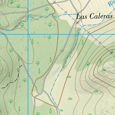 Manzanera (0614-3)