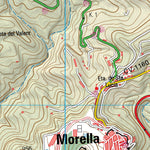 Morella (0545-1)