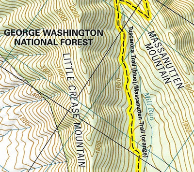 Hike 31: Veach Gap/Morgan’s Road in the George Washington & Jefferson National Forest
