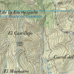 Valdeolivas (0538-3)