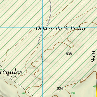 Fuentidueña de Tajo (0607-1)