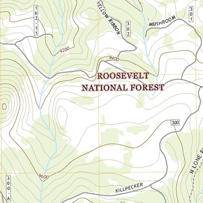 South Bald Mountain, CO (2019, 24000-Scale) Preview 2