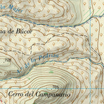 Pinos Puente (1009-1)