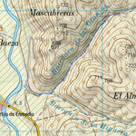 Pinos Puente (1009-1)