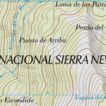 Pico del Veleta (1027-3)