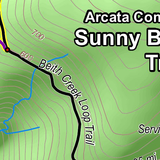 Sunny Brae Forest Trails Map by City of Arcata Avenza Maps