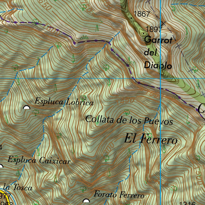Puyarruego (0178-4)