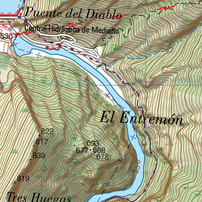 Palo (0250-1)