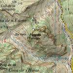 Selva (0671-1)