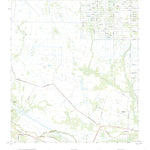 Basinger, FL (2021, 24000-Scale) Preview 1