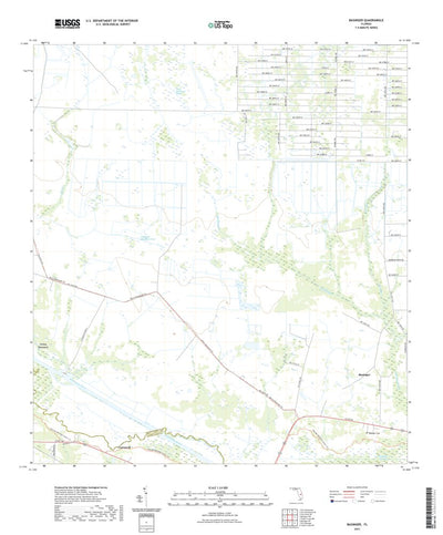 Basinger, FL (2021, 24000-Scale) Preview 1