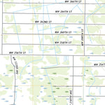 Basinger, FL (2021, 24000-Scale) Preview 3