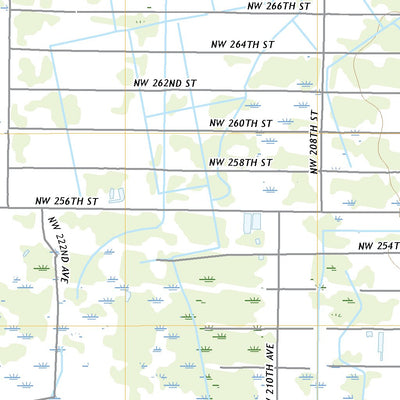 Basinger, FL (2021, 24000-Scale) Preview 3