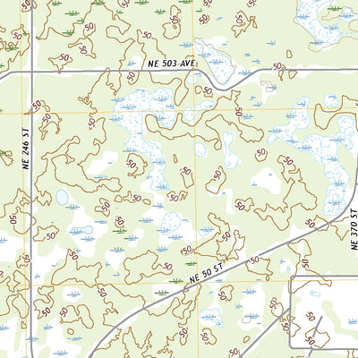 Cross City East, FL (2021, 24000-Scale) Preview 3