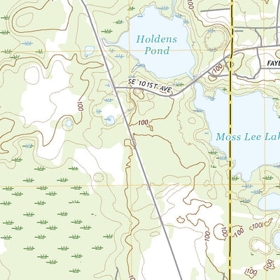 Hawthorne, FL (2021, 24000-Scale) Preview 2