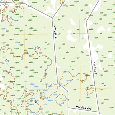 Mallory Swamp SW, FL (2021, 24000-Scale) Preview 2