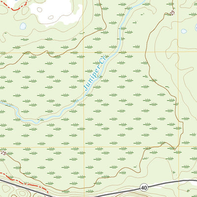 Juniper Springs, FL (2021, 24000-Scale) Preview 2