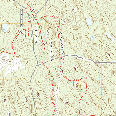 Juniper Springs, FL (2021, 24000-Scale) Preview 3