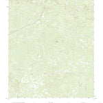 Mallory Swamp NW, FL (2021, 24000-Scale) Preview 1