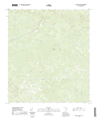 Mallory Swamp NW, FL (2021, 24000-Scale) Preview 1