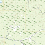 Mallory Swamp NW, FL (2021, 24000-Scale) Preview 2