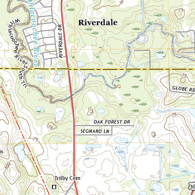 Lacoochee, FL (2021, 24000-Scale) Preview 3