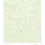 Taylor, FL (2021, 24000-Scale) Preview 1