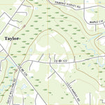 Taylor, FL (2021, 24000-Scale) Preview 3