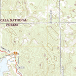 Salt Springs, FL (2021, 24000-Scale) Preview 3