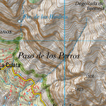 Vega de San Mateo (1104-3)