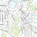 Albany West, GA (2020, 24000-Scale) Preview 3