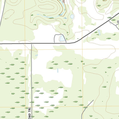 Altamaha SW, GA (2020, 24000-Scale) Preview 2