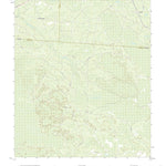 Council, GA (2020, 24000-Scale) Preview 1