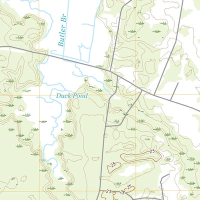 Kingsland NE, GA (2020, 24000-Scale) Preview 3